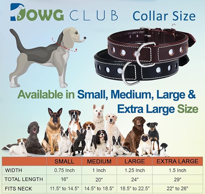 Genuine Leather Dog Collar, Reflctive Collar for Extra Large Dogs, Black | Full Grain, Heavy Duty, Comfortable, Soft Padded, Strong | (X-Large (Fit Neck Size 22"-26"), Raven)