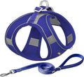 AIITLE Comfortable Dog Harness and Leash Set for Walking - Summer Step in Vest Harness,Reflective Bands, Adjustable No Pull Puppy Essentials, for Small Dogs and House Cats Royal Blue XS