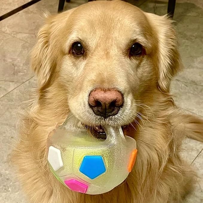 The Mellow Dog Calming Ball with Handle for Dogs, Mellow Dog Calming Ball, Interactive Football Shape Dog Toy, Tpr Chewable Material, Squeaky, Water Play, Training & Outdoor Games (White+Black-A)