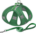 AIITLE Dog Harness, Summer No-Pull Cat Harness with a Leash, Adjustable Reflective Dog Vest, Cat Harness Escape Proof, Outdoor Walking, Camping for Extra Small Dogs and House Cats Green XXXS