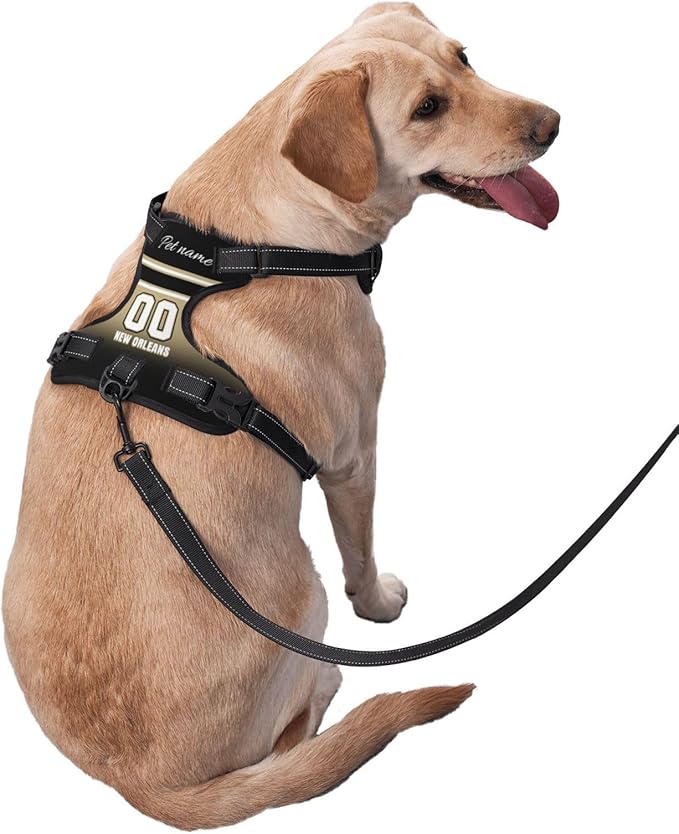 Custom New Orleans Dog Harness with Reflective Stripes Personalized Name and Number Dog Vest Harness with Pet Traction Rope for Small Medium Large Dog