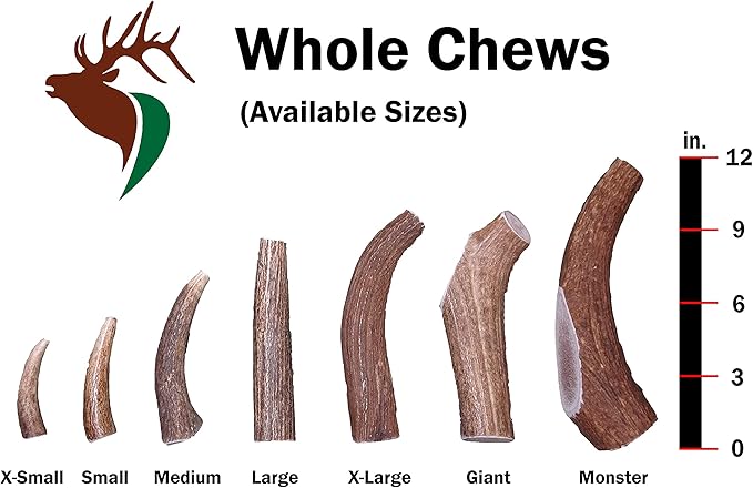 X Small Whole Twin Pack (for 0-15 lb Dogs and Puppies) Premium Grade Elk Antlers for Dogs (2 Pieces) Sourced in The USA