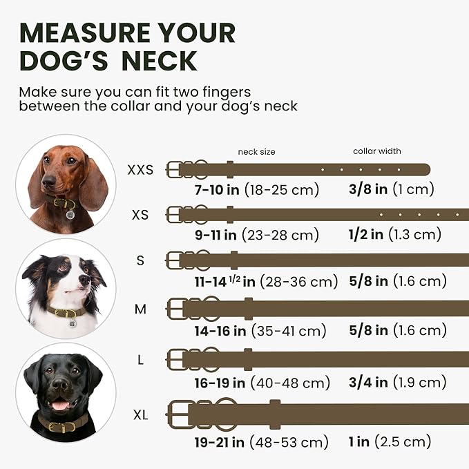 BronzeDog Rolled Leather Dog Collar with QR ID Tag, Adjustable Soft Round Collars for Small Medium Large Dogs Puppy (9" - 11" Neck Size, Nut Brown)