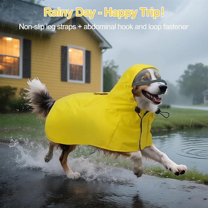 DENTRUN Dog Rain Jacket for Poodle, Bichon – Breathable Mesh Lined, No-Sleeves Easy Wear – Perfect for Rainy Day Walks, Park Visits, Travel, M