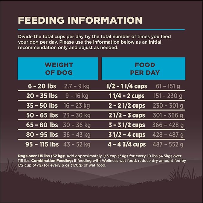 Wellness CORE Dry Dog Food, Grain-Free, High Protein, Natural, Ocean Whitefish, Herring, & Salmon Recipe, (12-Pound Bag)