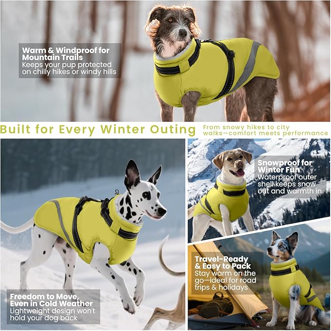 QBLEEV Small Dog Coat, Dog Jackets for Small Dogs, Winter Warm Waterproof Chihuahua Cold Weather Vest with Harness, Windproof Puppy Yorkie Reflective Fleece Dogs Snowsuit for Maltese, Green, S