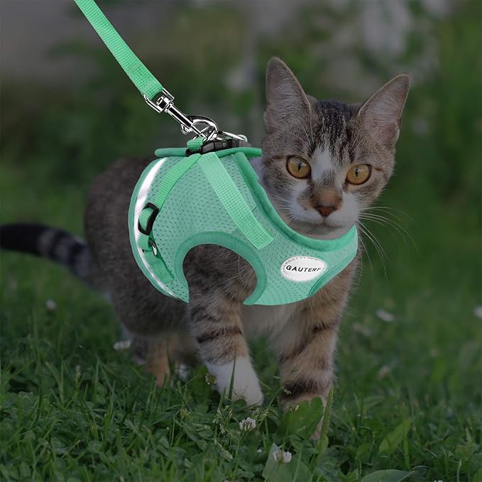 Cat Harnesses and Puppy Harness with Leashes Set, Escape Proof Cat Harness, Adjustable Reflective Soft Mesh Vest Fit Puppy Kitten Rabbit Ferrets's Outdoor Harness