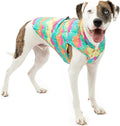 Kurgo Loft Dog Jacket - Reversible Cozy Coat for Outdoor Adventures - Water Resistant - Athletic Fit - Machine Washable Fabric - Reflective Dog Gear - Large - Watercolor Stripe