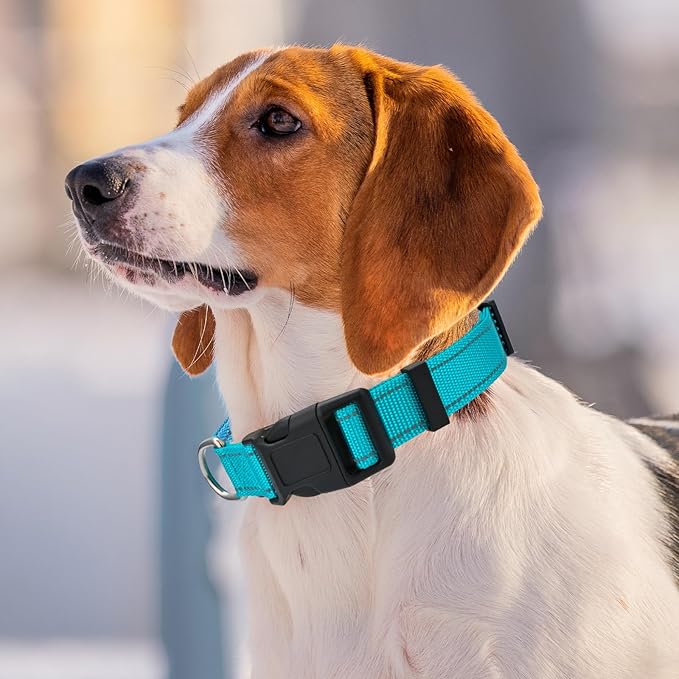 Personalized Embroidered Dog Collar - Custom Hand-Stitched Name & Number, Reflective Adjustable Pet Collar for Small/Medium/Large Dogs & Cats, Durable Nylon with Steel D-Ring (Orange, Medium)