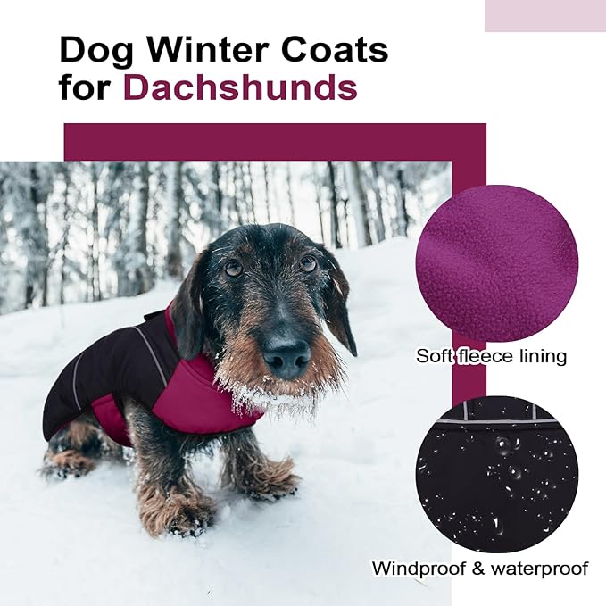 Lelepet Dachshund Coat Warm Dog Winter Coat Waterproof Dog Jacket with Fleece Lining, Reflective Outdoor Dachshund Snowsuit with Leash Hole Adjustable Neckline,Coats for Small Medium Dogs,Purple, XS