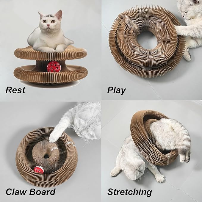 Kitty Kurl Cat Toy
