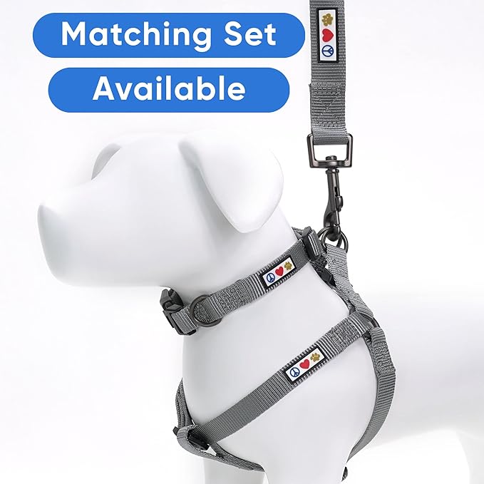 Pawtitas Personalized Dog Leash Embroidered Customize Leash with Your Pet Name & Phone Number Leash Puppy Leash Leash 6 ft Long Dog Leash Puppy Grey Custom Engraved Name, Customized XS/S (Pack of 1)