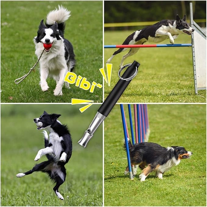 Professional Dog Whistle to Stop Barking - Adjustable Silent Training Whistle for All Breeds (Labrador, German Shepherd, Beagle) with Lanyard - 2 Packs for Recall, Obedience & Anti-Barking Training