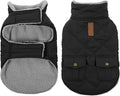 Queenmore Dog Winter Coat Warm Puffer Jacket Waterproof Plush Lining Thermal Cold Weather Vest for Small Medium Large Dogs, Windproof Easy On Pet Jacket Black L