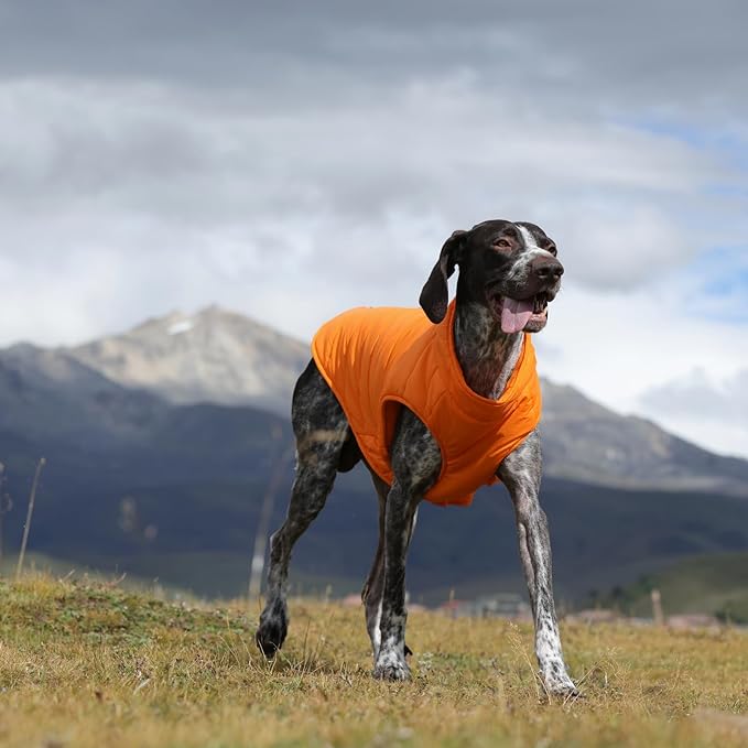 Dog Coats for Large Dogs Winter Waterproof, Zip Up Lightweight Vest for Dogs, Orange Pet Snow Jacket, Winter Outdoor Dog Camping Jackets for Weimaraner, Pointer, Labrador, Orange XL