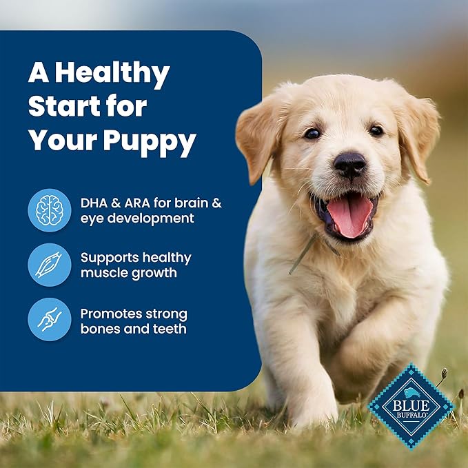 Blue Buffalo Life Protection Formula Puppy Dry Dog Food with DHA and ARA, Made with Natural Ingredients, Chicken & Brown Rice Recipe, 15-lb Bag