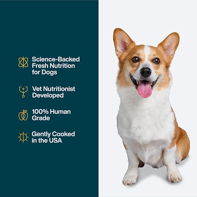 JustFoodForDogs Pantry Fresh Wet Dog Food, Complete Meal or Dog Food Topper, Lamb & Brown Rice Human Grade Dog Food Recipe - 12.5 oz (Pack of 6)
