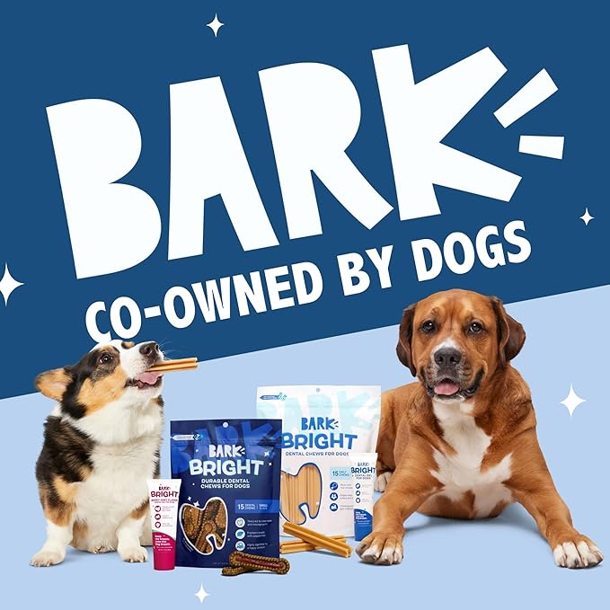 Barkbox Bright Durable Dental Kit, 15 Chew Sticks & Toothpaste - Medium Breeds (Berry Mint Flavored)