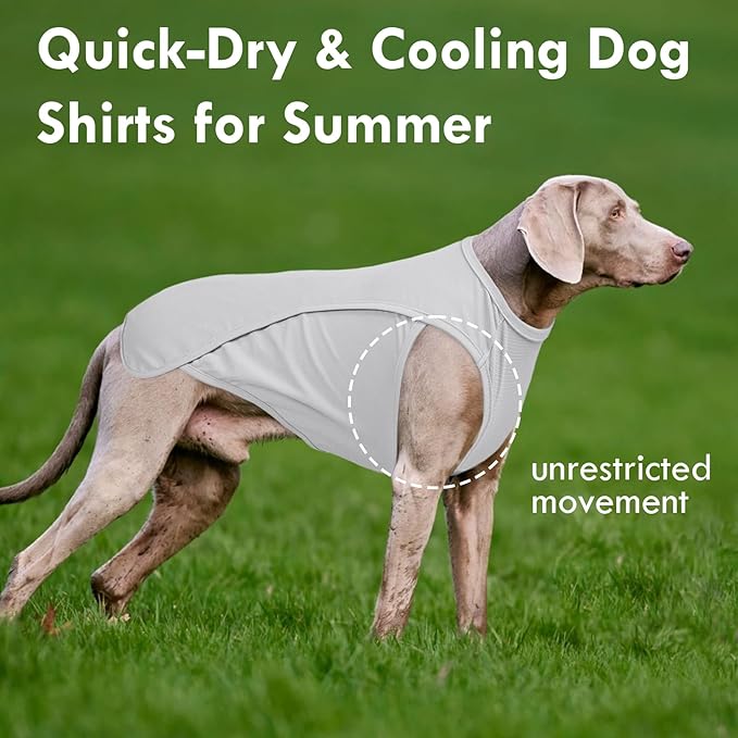 2 Pack Dog Shirt, Quick Dry Cooling T-Shirt for Summer Hot Day, Lightweight Sun Protection Dog Clothes for Boy Girl Easy to Put on, Blue+Grey, XL