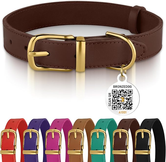 BRONZEDOG Leather Dog Collar with QR ID Tag Basic Pet Collars for Small Mini Dogs Cats Puppies (9-11 Inch (Pack of 1), Dark Brown & Gold Buckle)