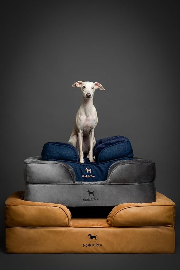 NOAH & PAW Small Dog Bed, 20x15x8 Inch, Cat Bed for Indoor Cats, Orthopedic Eggshell Memory Foam Infused with Cooling Gel, Waterproof Inner Cover Machine Washable (Faux Leather Collection)