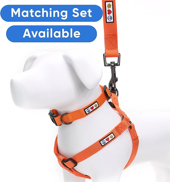Pawtitas Personalized Dog Leash - Embroidered Custom Leash with Pet Name & Phone Number, 6 ft Long, Extra Small, Orange