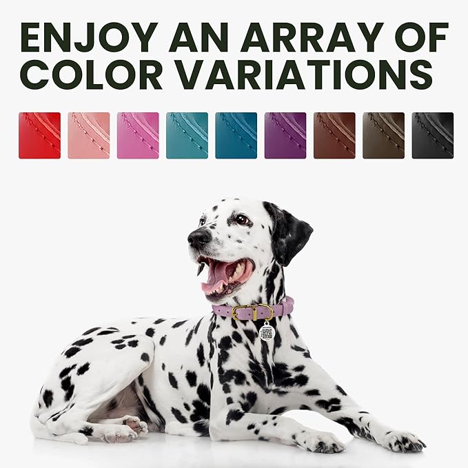 BRONZEDOG Rolled Leather Dog Collar for Small Medium Large Dogs with QR ID Tag (L: 16-18 Inch, Scarlet Red)