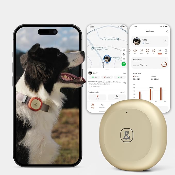 Automatic Dog Feeder for Large Dogs, 14L Capacity, 2.4G WiFi App Control, Dual Power Supply, Stainless Steel Bowl, and Molly&Cody GPS + Bluetooth Pet Tracker for Cats & Dogs – Real-Time Tracking Bundl