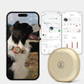 Automatic Dog Feeder for Large Dogs, 14L Capacity, 2.4G WiFi App Control, Dual Power Supply, Stainless Steel Bowl, and Molly&Cody GPS + Bluetooth Pet Tracker for Cats & Dogs – Real-Time Tracking Bundl
