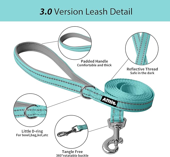 AIITLE Step in Dog Harness and Leash Set - Summer No Pull Escape Proof Vest Harnesses with Soft Mesh and Reflective Bands, Adjustable Pet Outdoor Harnesses for Small and Medium Dogs Turquoise M