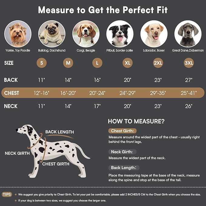 Queenmore Winter Dog Coat Warm Dog Jacket Vest Waterproof Puffer Fleece Snowsuit Adjustable Buckle Leash Hole Reflective Cold Weather Parka for Small Medium Large Dogs Girl Boy Orange XL