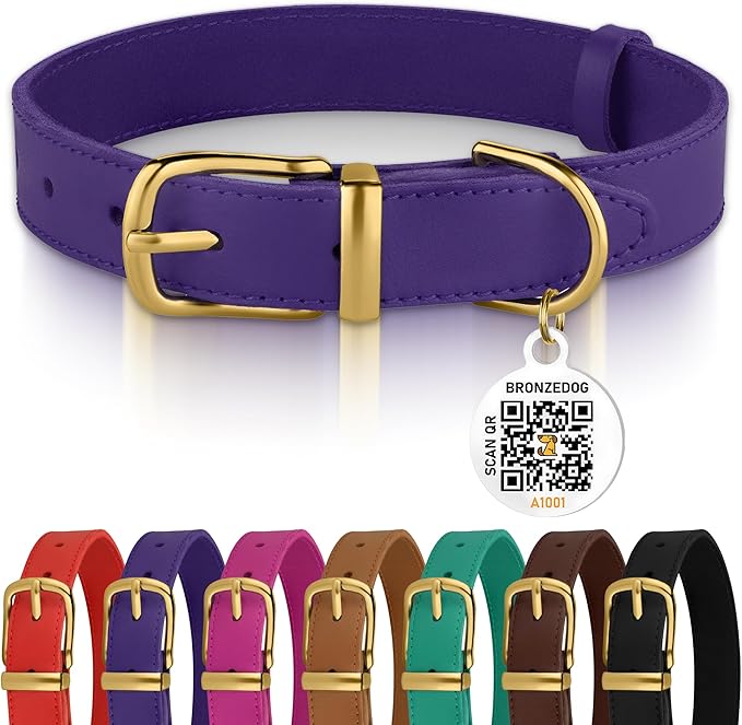 BRONZEDOG Leather Dog Collar with Metal Buckle Durable Basic Pet Collars for Small Medium Large Dogs (11-13 Inch (Pack of 1), Purple & Gold Buckle)