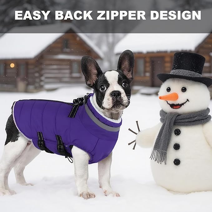 Small Dog Coat with Harness Built-in, Waterproof Reflective Fleece Lined - Warm Windproof Winter Jacket with Back Zipper, Cold Weather Snow Dog Coats - Purple - XS