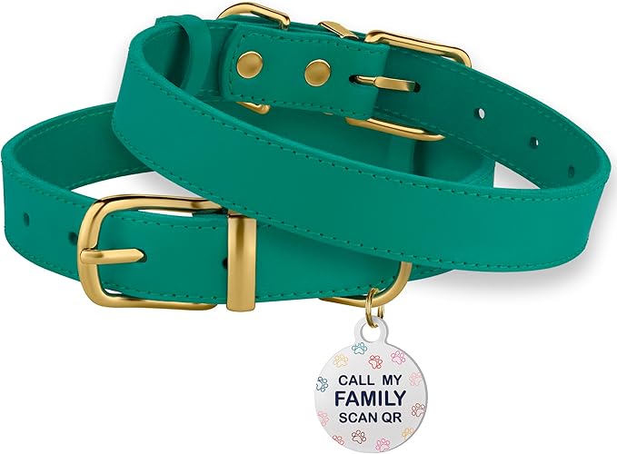 BRONZEDOG Leather Dog Collar with Metal Buckle Durable Basic Pet Collars for Small Medium Large Dogs (13-16 Inch (Pack of 1), Green & Gold Buckle)