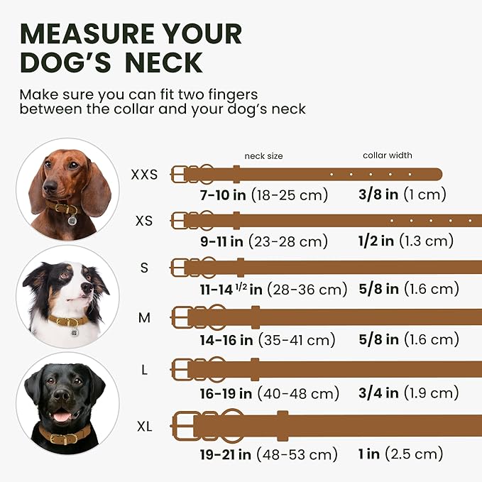 BronzeDog Rolled Leather Dog Collar with QR ID Tag, Adjustable Soft Round Collars for Small Medium Large Dogs Puppy (16" - 19" Neck Size, Light Brown)