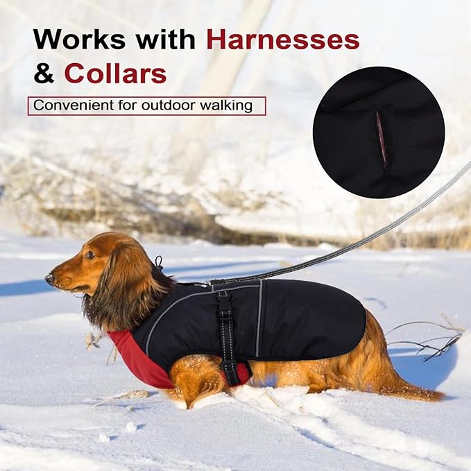 Lelepet Dachshund Coat Warm Dog Winter Coat Waterproof Dog Jacket with Fleece Lining, Reflective Outdoor Dachshund Snowsuit with Leash Hole Adjustable Neckline,Coats for Small Medium Dogs,Red, M