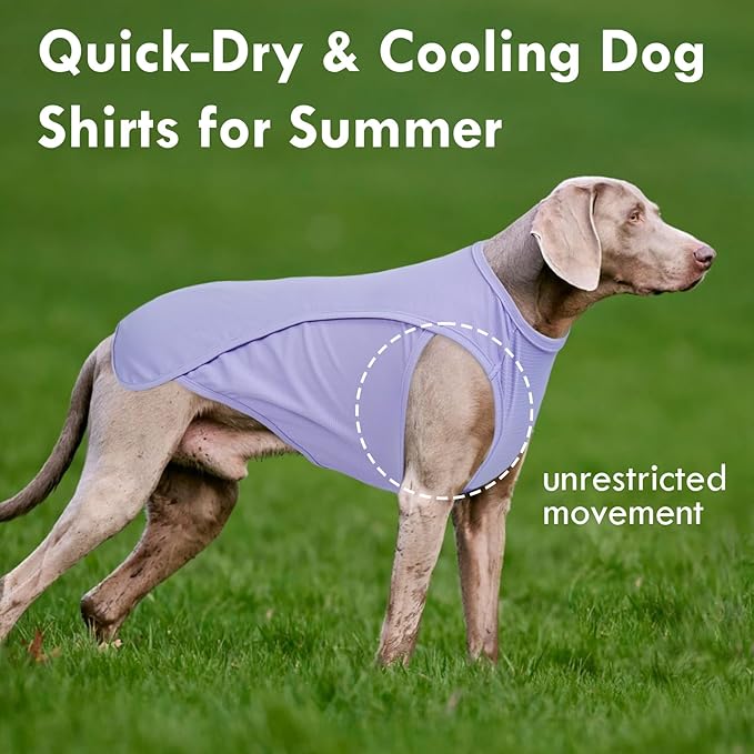 2 Pack Dog T-Shirt, Quick Dry Durable Shirts for Large Dogs, Summer Cooling Sun Protection Clothes, Breathable Prevents Overheating Vest, Purple+Pink, 5XL