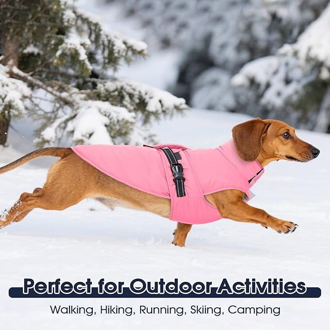 IECOii Dog Winter Jacket - Reflective, Adjustable & Windproof, Thermal Pet Snow Vest for Dachshund, Waterproof Quick Release Buckle, Cold Weather Coat for Indoor Outdoor, Pink, Size M