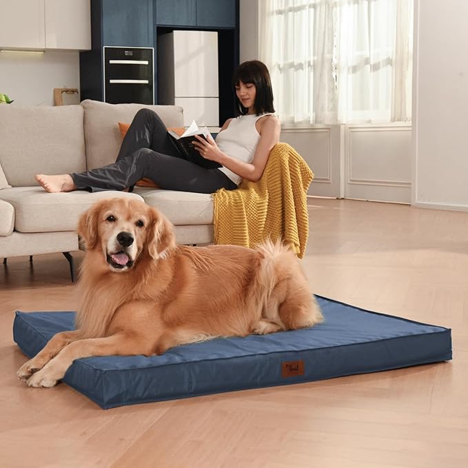 Outdoor Waterproof Dog Bed, Orthopedic Dog Bed for Medium Dogs 30x20 Inch, Egg Crate Foam Pet Bed with Washable Removable Oxford Cooling Cover, Navy