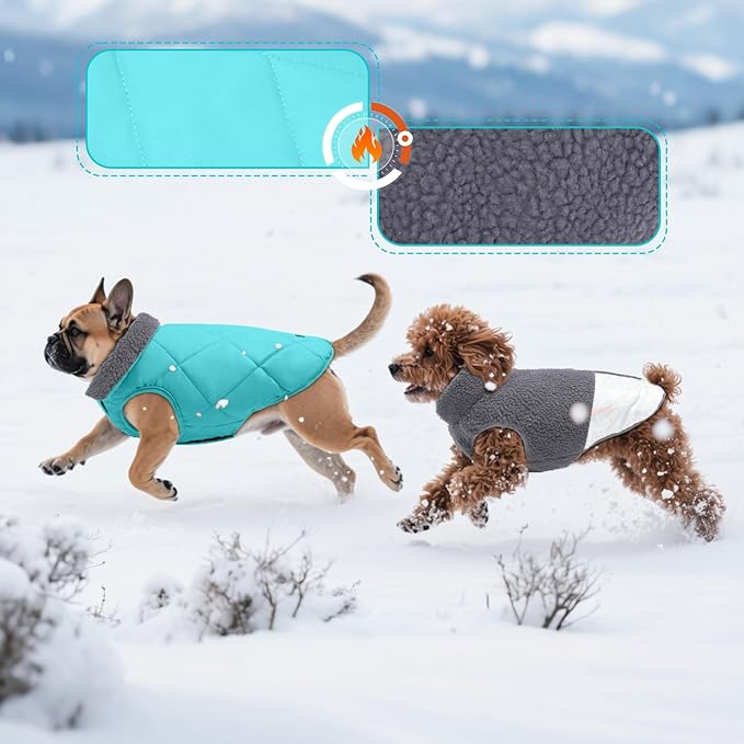 EMUST Warm Dog Jacket, Cozy Dog Fleece Coat with Leash Hole, Waterproof Reversible Winter Sweater Coats for Small Dogs, Grey, XS