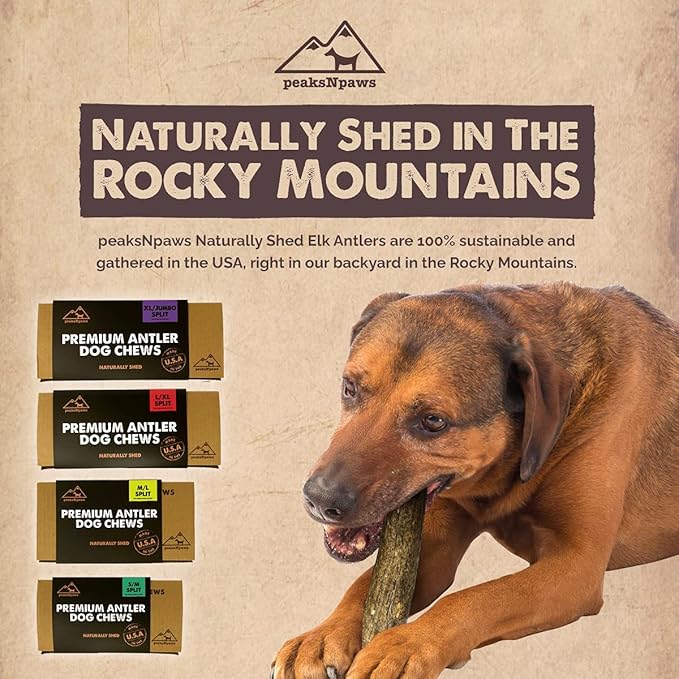 peaksNpaws Premium Split Elk Antlers for Dogs, Dog Treats Large Breed, Made in USA, Natural Chews for Aggressive Chewers, Long Lasting Pet Treat for Dogs Under 80 lbs, 2 Large/XL Antler Pack