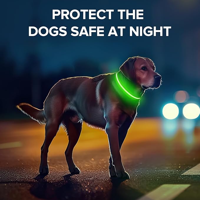 JewyowLight Up Dog Collar, Adjustable USB Rechargeable Glow in Dark Dog Collar ，Waterproof Dog Collars for Large Dogs (Green, Large)