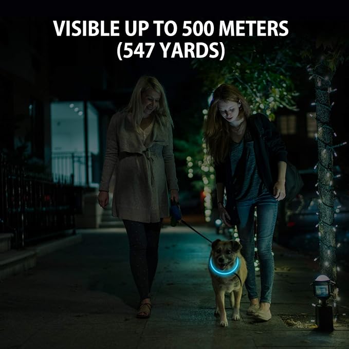 2-Pack LED Dog Collar, Light Up Dog Collars,Rechargeable Dog Lights for Night Walking，Universal, Reusable Safety Necklace for Small Medium Large Dogs Green&Blue