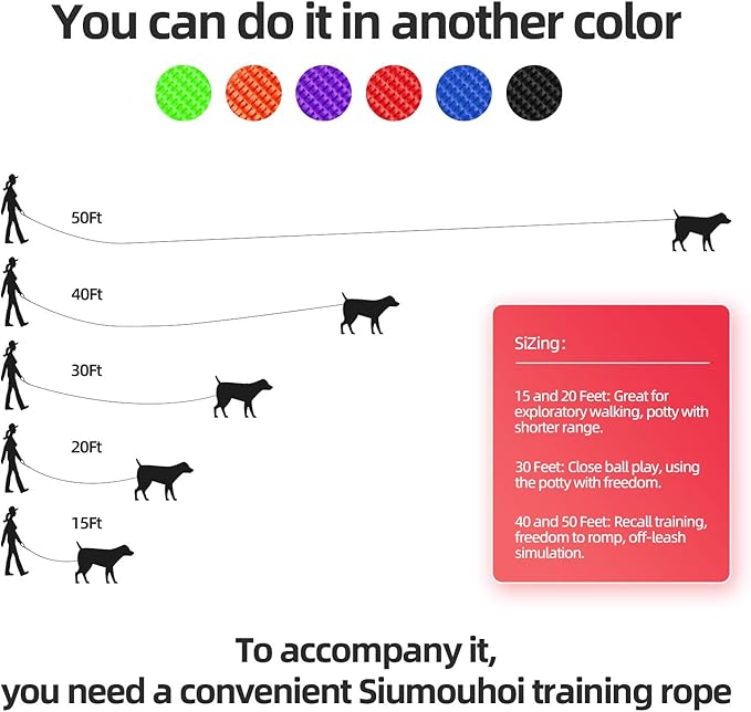 Dog/Puppy Recall & Behavior Training Rope Leash - 40 ft (Purple)