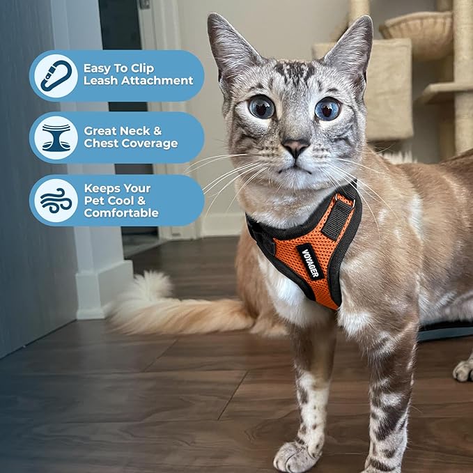 Voyager Step-in Lock Adjustable Cat Harness w. Cat Leash Combo Set with Neoprene Handle 5ft - Supports Small, Medium and Large Breed Cats by Best Pet Supplies - Orange/Black Trim, XXXS