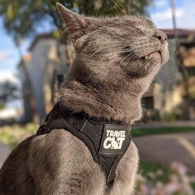 Travel Cat Harness and Leash Set - Adjustable Fit Mesh Cat Harness and Reflective Strap - Comfort Walking Vest for Kitten for Outdoor Walking, Hiking (Large, Black)