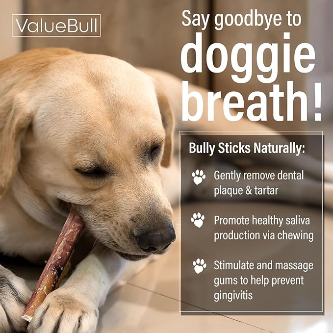 ValueBull Bully Sticks for Small Dogs, Extra Thin 6 Inch, 400 Count Wholesale Pack - All Natural, Grass Fed, Single Ingredient, Long Lasting Dog Treats