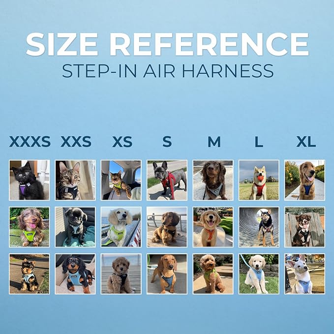 Best Pet Supplies Voyager Step-in Air Harness - All Weather Mesh, Reflective, No Pull Harness for Dogs, Cats - Secure with Hook & Loop Fastener, Buckle, Double D-Rings - Tone, XL