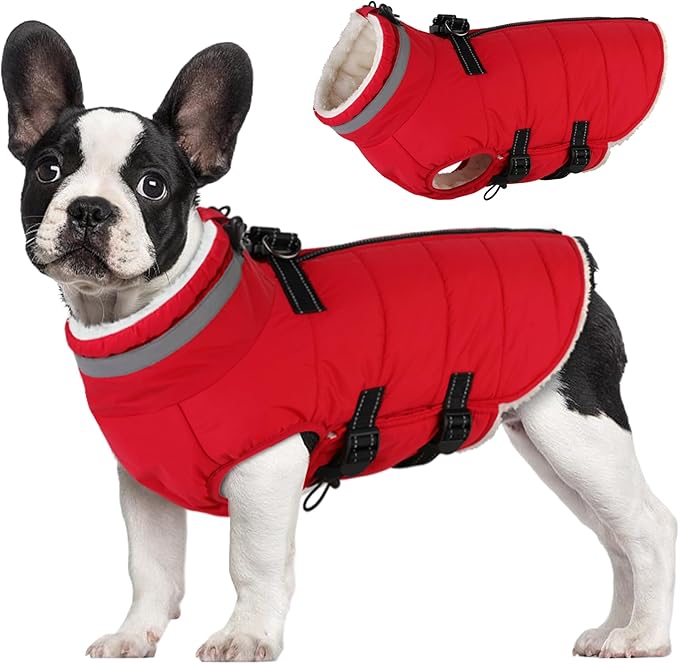Small Dog Coat with Harness Built-in, Waterproof Reflective Fleece Lined - Warm Windproof Winter Jacket with Back Zipper, Cold Weather Snow Dog Coats - Red - S
