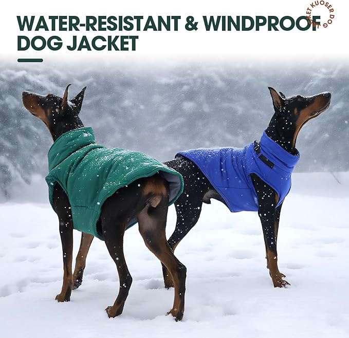 Kuoser Large Dog Winter Jacket Waterproof L with Harness | ·-30°C Rated·Storm Hood·Built-in Leash·Husky Fit·Extreme Weather Protection, Blue L
